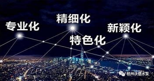 備受關(guān)注的2021年度浙江省“專(zhuān)精特新”中小企業(yè)名單出爐，杭州沃德水泵制造有限公司成功入選！
